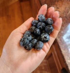 Fresh blueberries – natural ingredients by Upper Valley Herbals